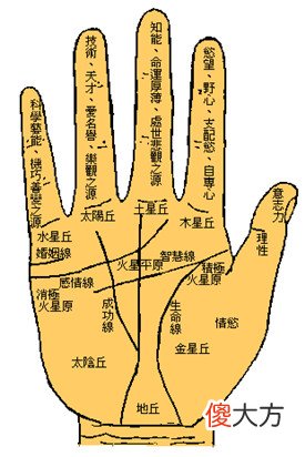 木星丘详解