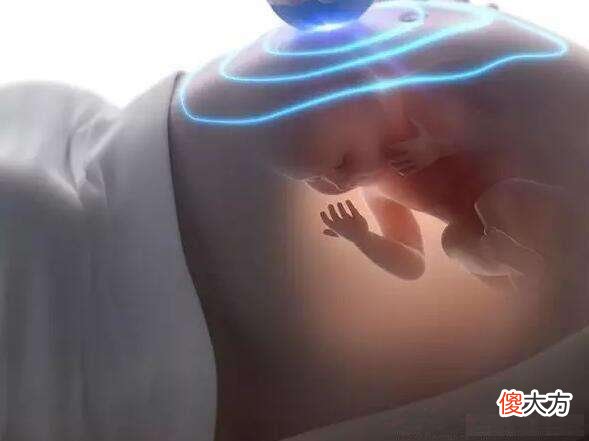 羊水有什么作用 羊水有什么作用与功效