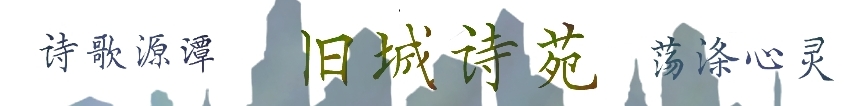 深秋的天空里，团团白云像弹好的羊毛，慢慢地飘浮着