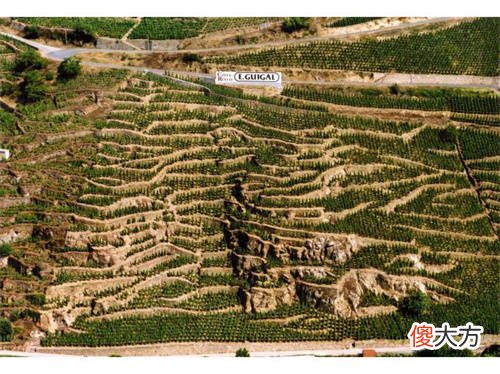 葡萄酒的颜色取决于葡萄酒的酒龄 葡萄酒的颜色来自于哪里