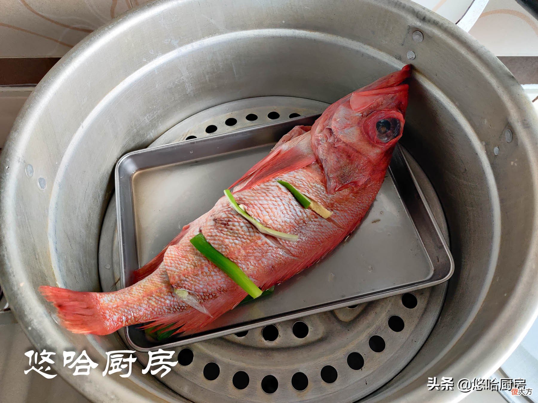 简单好做的清蒸鱼 最简单的清蒸鱼的做法