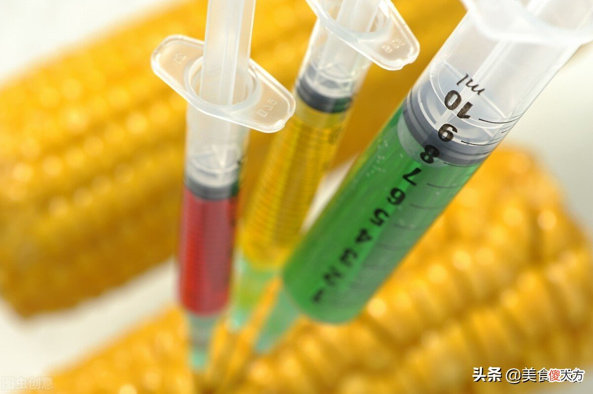 水果玉米是转基因的吗 云南水果玉米是转基因的吗