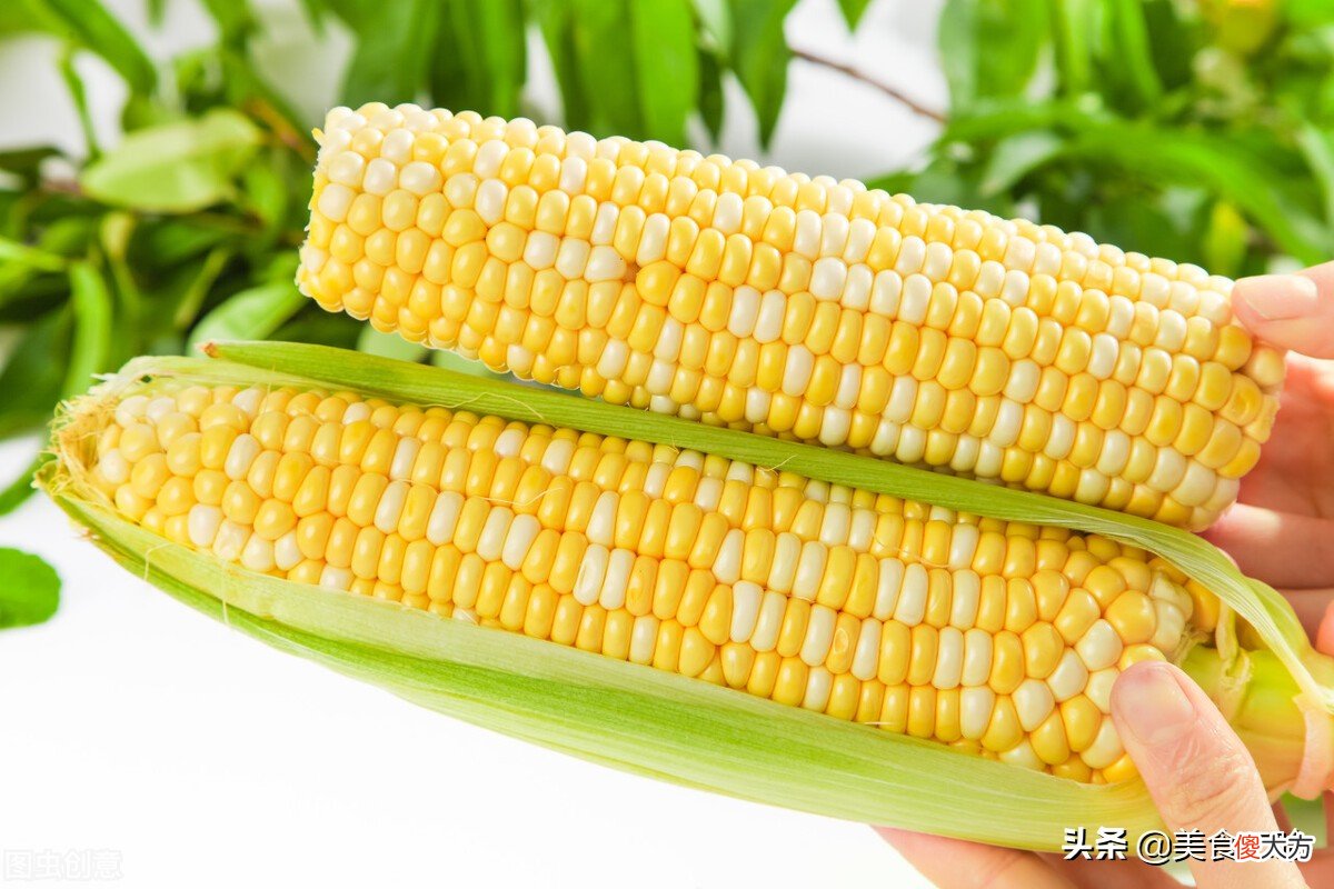 水果玉米是转基因的吗 云南水果玉米是转基因的吗