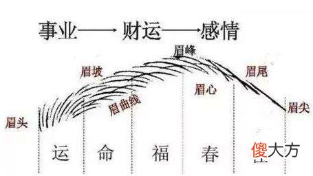 从眉毛看什么样的男人旺妻