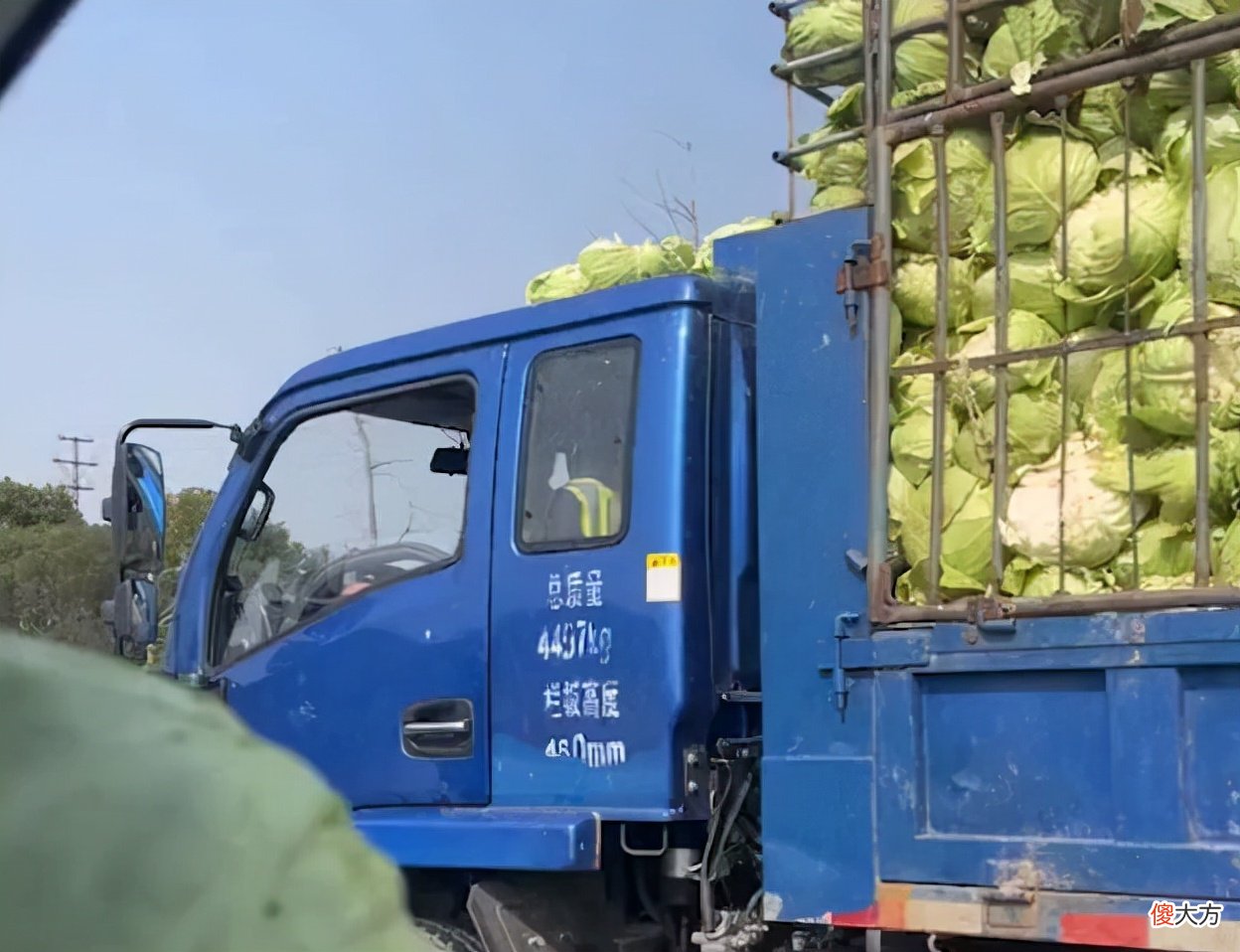 浙江一女子喜提新车，和丈夫出去浪时又有意外惊喜：这是发财车啊