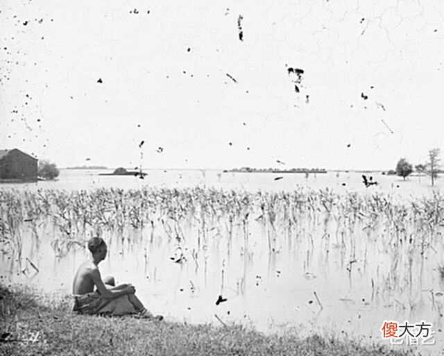【爱历史】晚清老照片: 旗人福晋明眸皓齿亭亭玉立, 男子患麻风病脸如猪头!