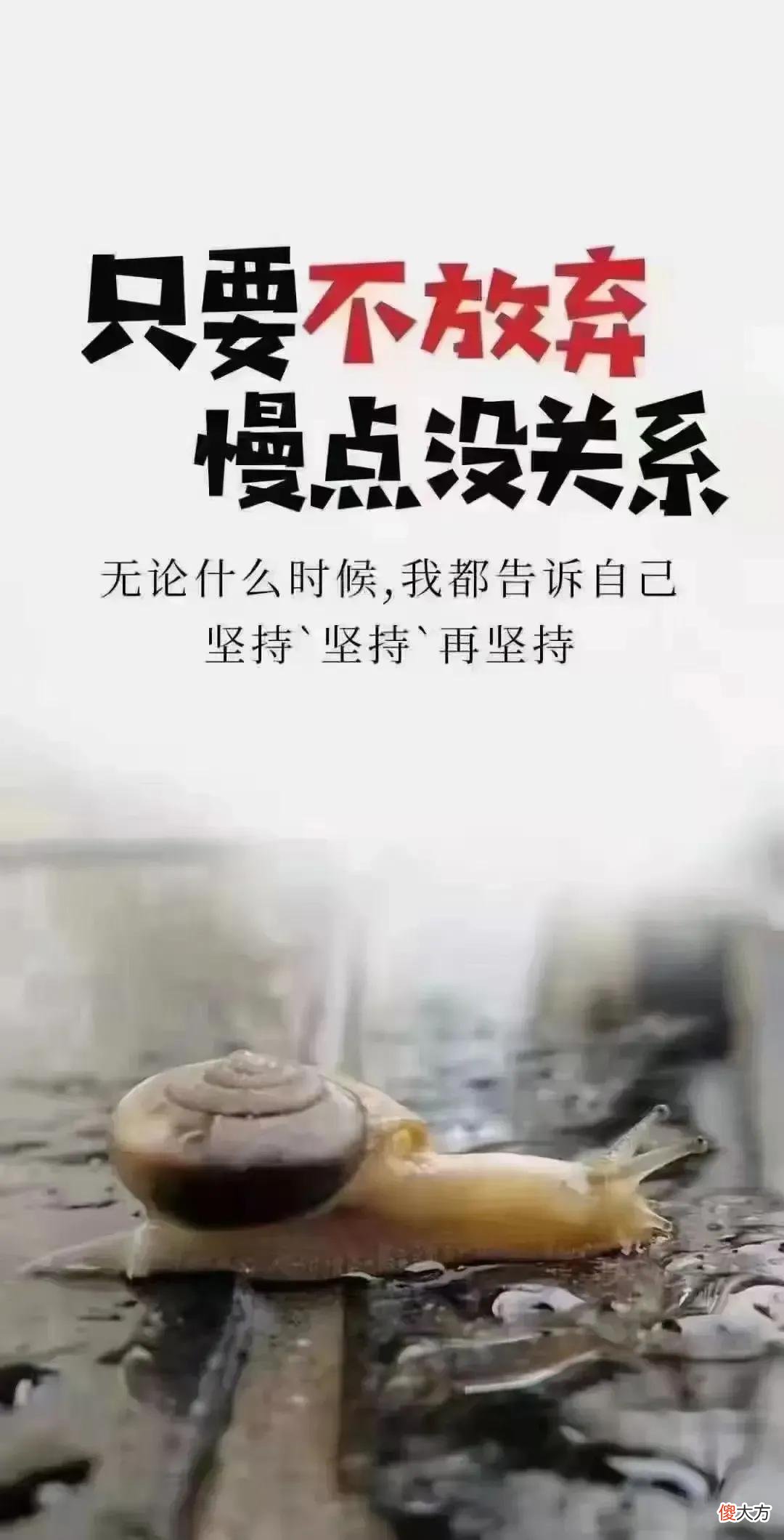 2.28全面屏高清手机壁纸 02高清手机壁纸全面屏