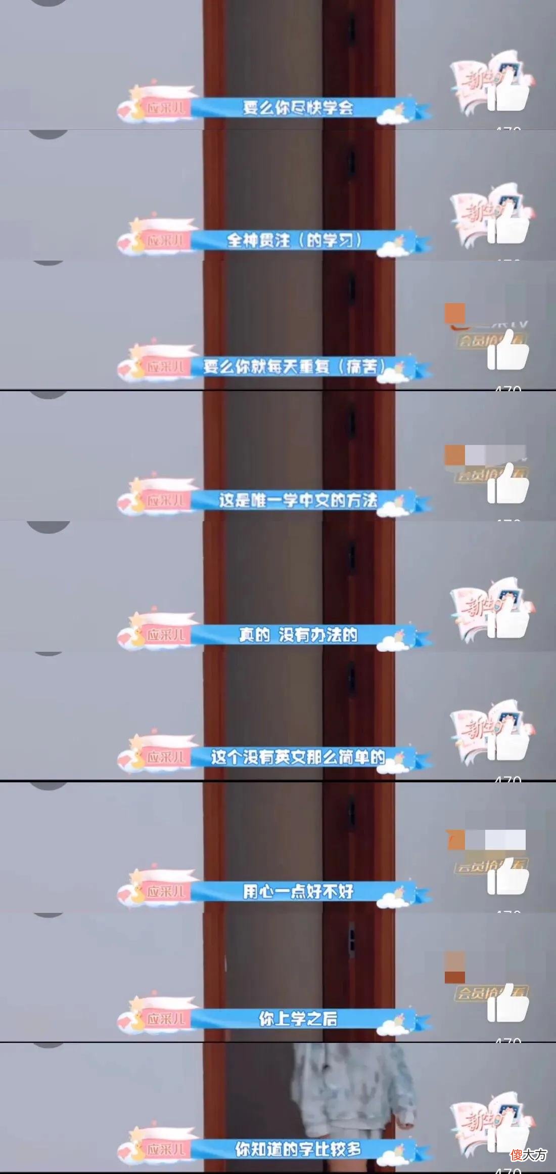 中文是不会忘记的东西 忘了中文是什么