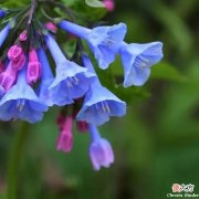 【星座控】5月份财气充盈，他们注定贵气横生，赚钱轻松，富贵完全挡不住。