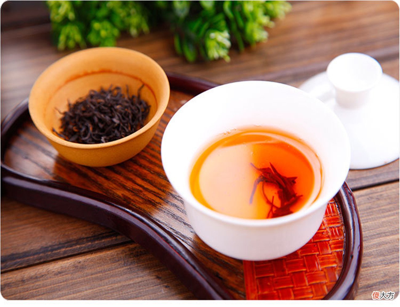 红茶中的老资格 红茶是怎样的人
