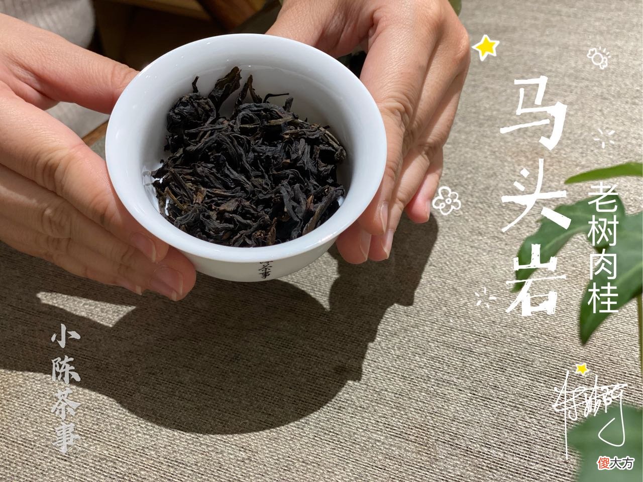 条索碎的正山小种 正山小种的条形