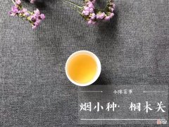 条索碎的正山小种 正山小种的条形