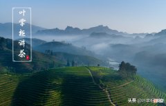 怎么挑选正宗的正山小种 怎么品正山小种