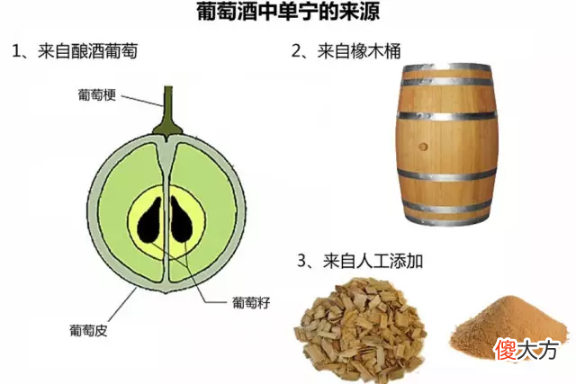 葡萄酒品鉴入门之什么是单宁 葡萄酒单宁怎么看