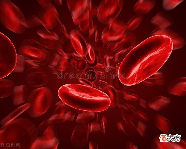 我们的大脑开发了多少 人们的大脑开发了多少