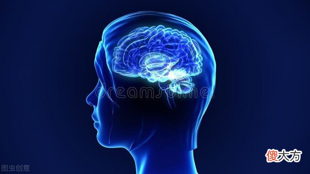 我们的大脑开发了多少 人们的大脑开发了多少