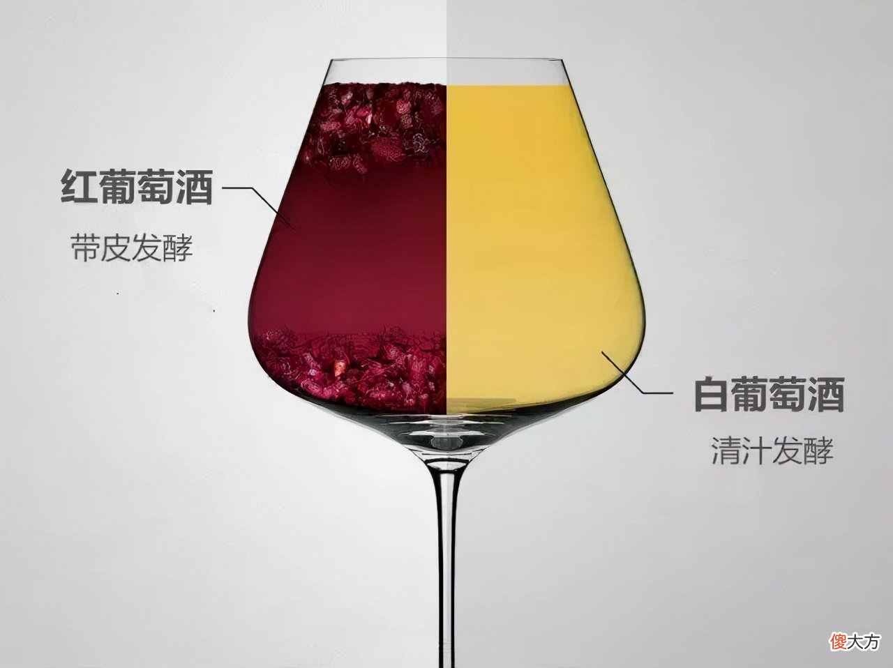 什么是红葡萄酒 什么是红葡萄酒什么是白葡萄酒