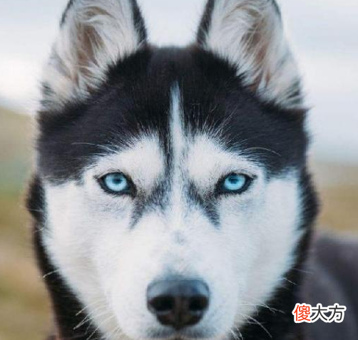 你真的都清楚吗 你真的看清楚了吗