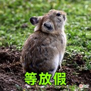 表情包| 五一节后不想上班 超有趣表情包带你打起精神
