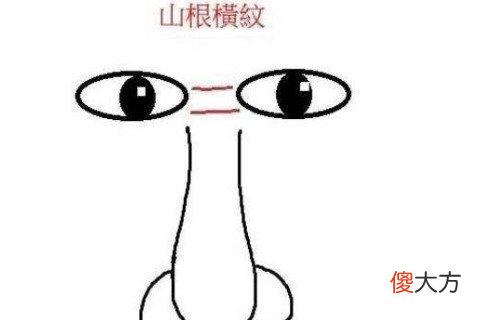 鼻梁有横纹面相好不好