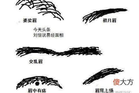 眉毛上翘的面相命运怎么样