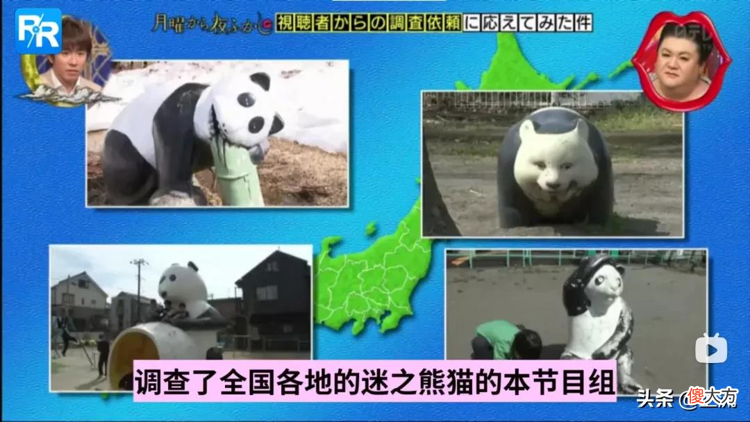 就想问，熊猫或许是什么日本人诱捕器吗？