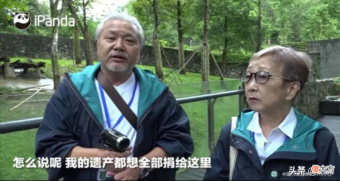 就想问，熊猫或许是什么日本人诱捕器吗？