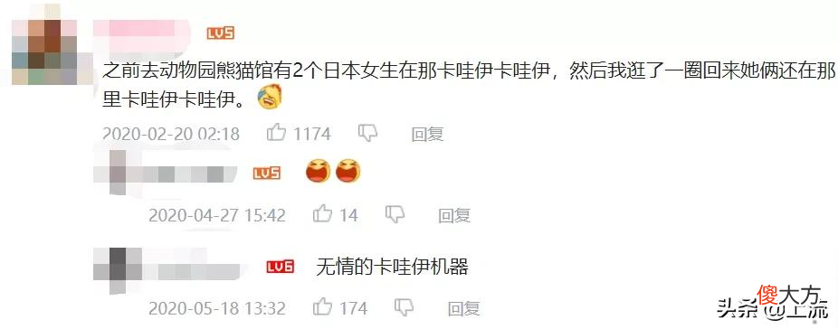 就想问，熊猫或许是什么日本人诱捕器吗？