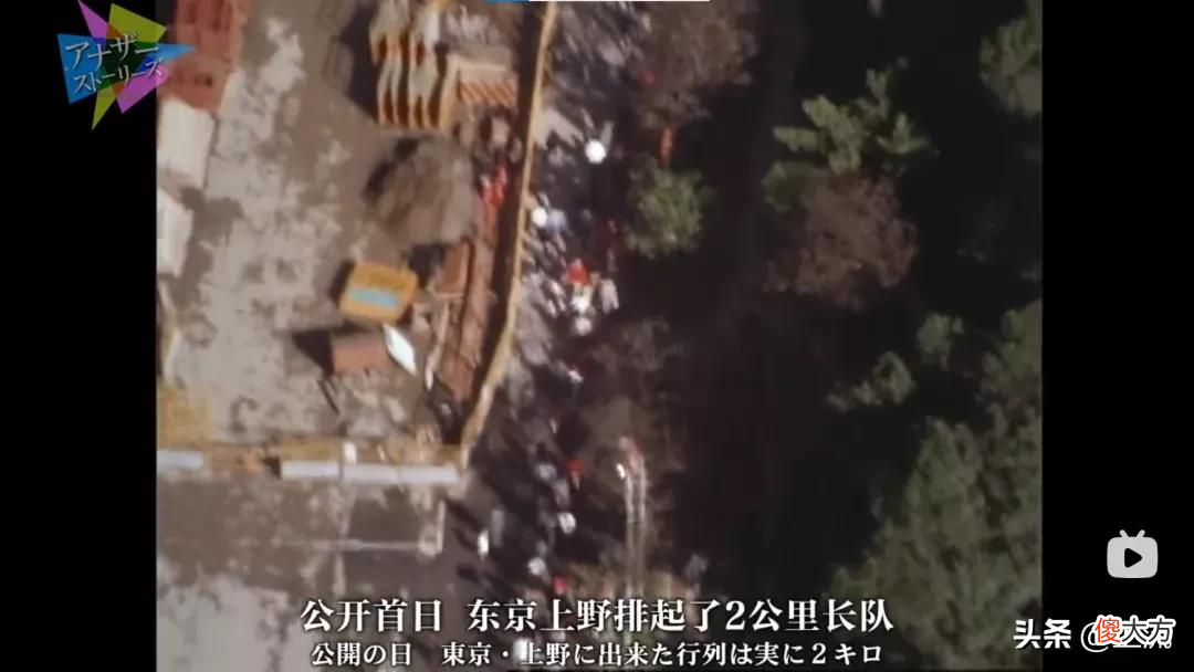 就想问，熊猫或许是什么日本人诱捕器吗？