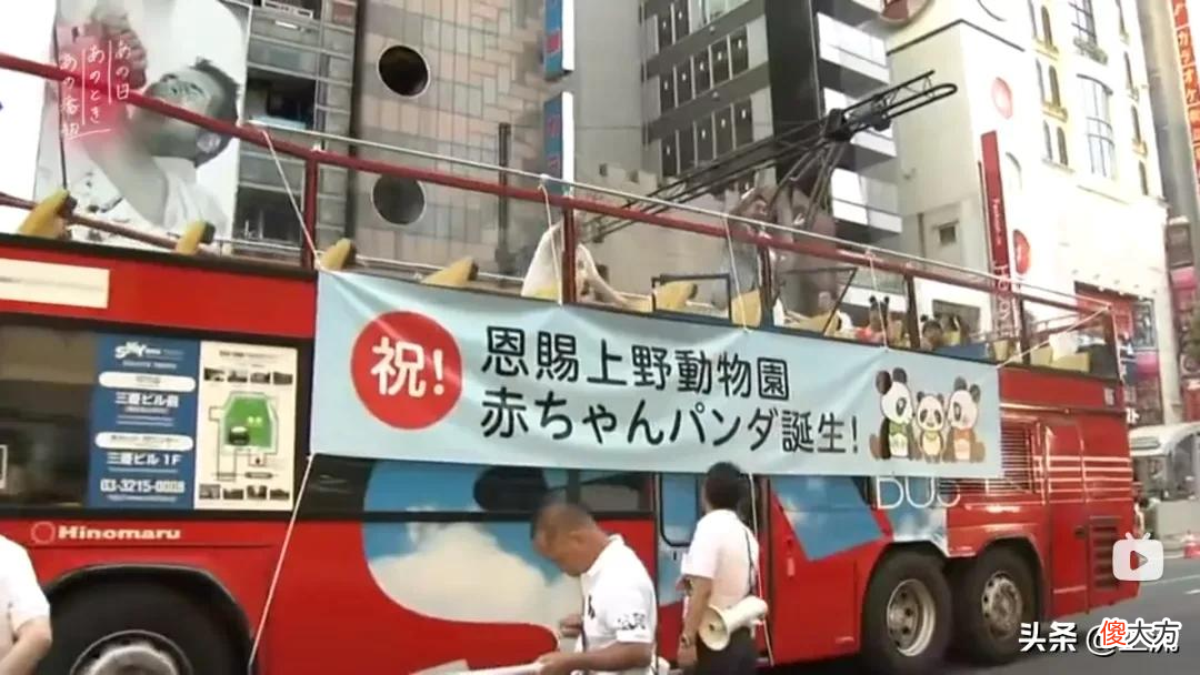 就想问，熊猫或许是什么日本人诱捕器吗？