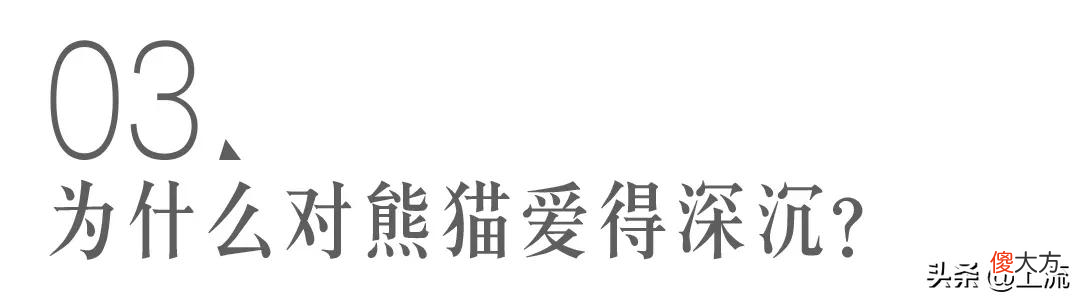 就想问，熊猫或许是什么日本人诱捕器吗？