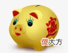商业金猪的摆放位置