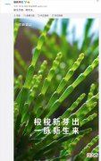 魅族19是你们心目中的最完美旗舰手机吗 魅族19年旗舰机