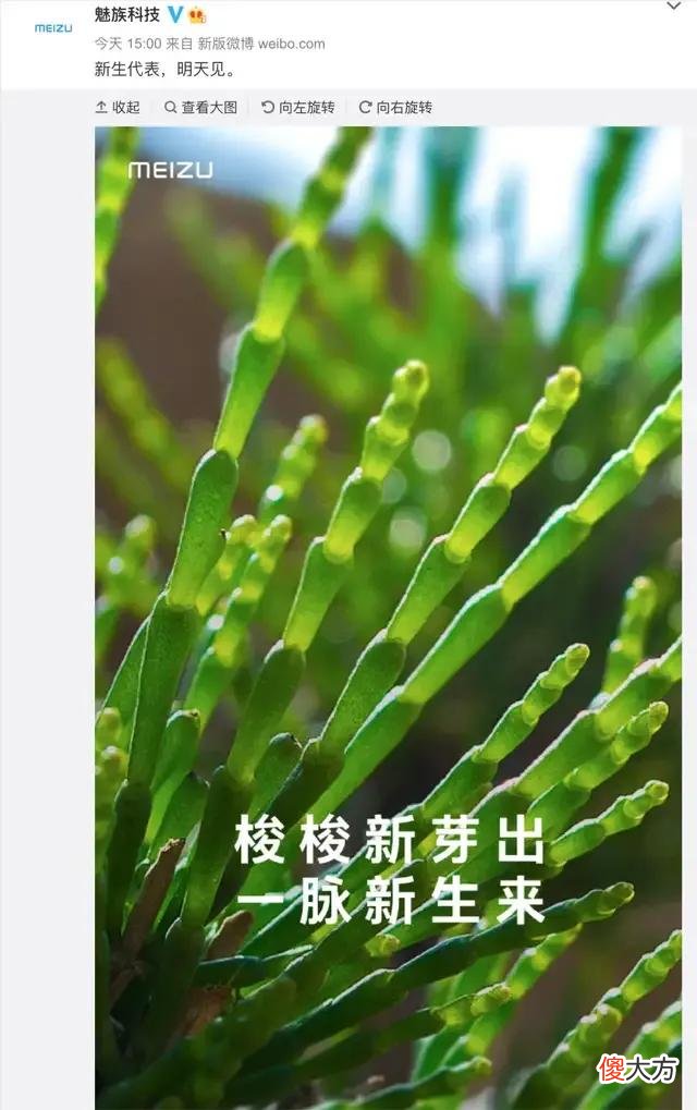 魅族19是你们心目中的最完美旗舰手机吗 魅族19年旗舰机