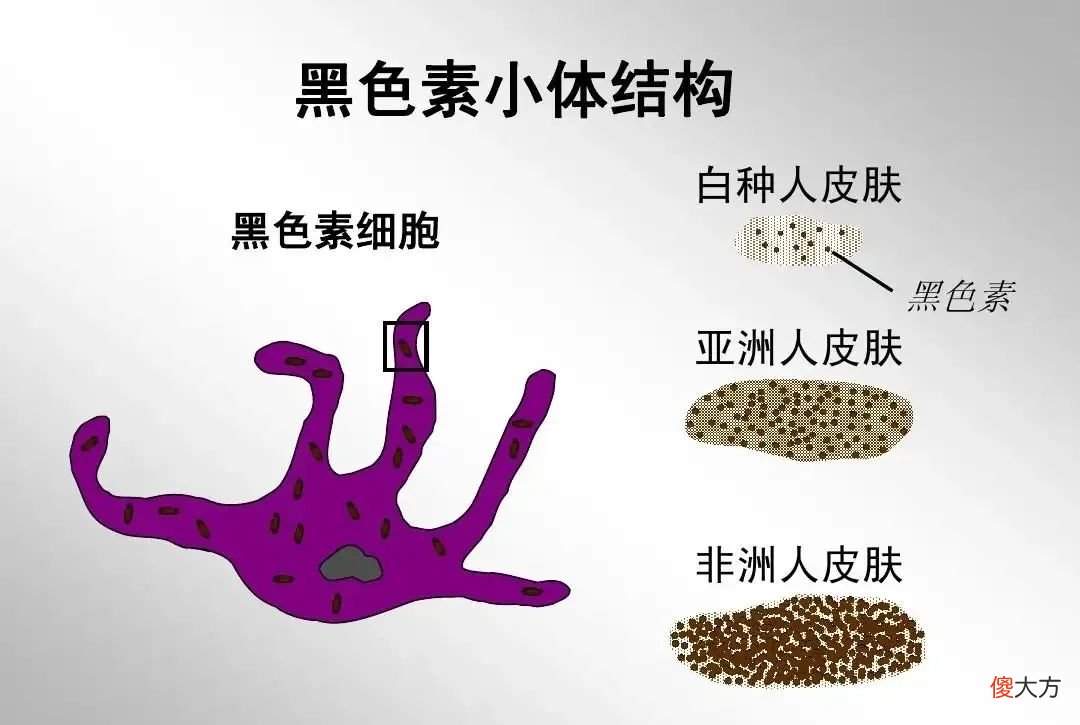 【时尚一点】离大谱！天选爱豆脸也遭不住今年最流行的荧光红吧…