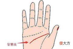 女人看手相算命图解富贵命