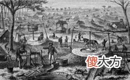 澳大利亚的15个冷知识 澳大利亚的小知识