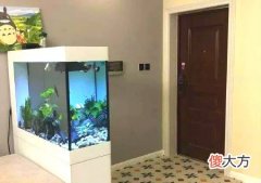 进门见鱼缸风水好吗