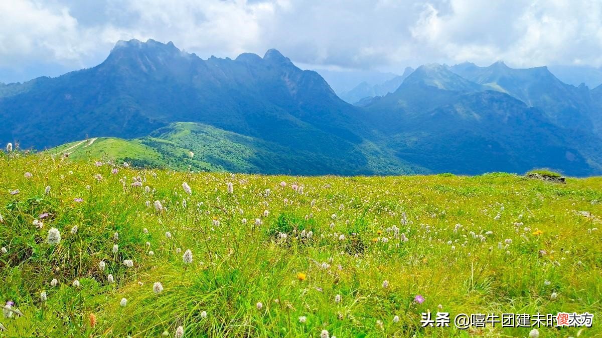 西安最高的草甸 西安草甸子