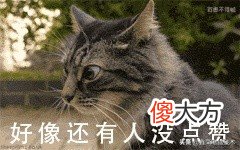 如何查看和更改个人电脑的IP地址 如何查看个人所用电脑的IP地址