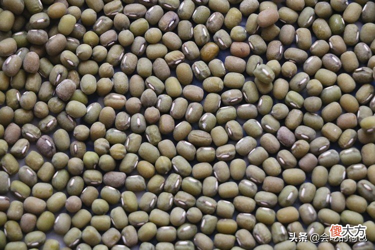 姑姑喝了20年的豆浆配方，天气越热越要喝，做法简单，看一眼就会