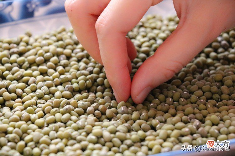 姑姑喝了20年的豆浆配方，天气越热越要喝，做法简单，看一眼就会