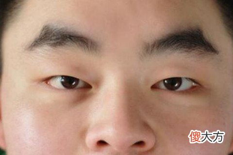什么眉毛的男人最富贵
