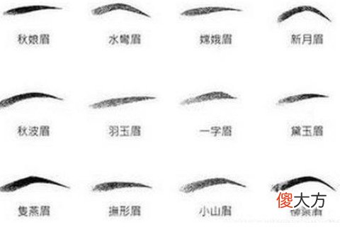 眉毛看面相图解