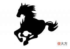 属马2020年冲太岁幸运色是什么，生肖马今年不适合穿什么颜色