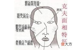 克夫的几种女人鼻子