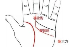 富贵手相有哪些特征