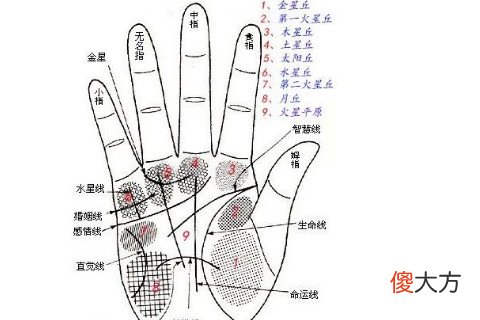 三种天生富贵命的手相