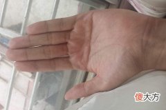女人断掌好吗