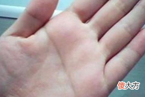 双手断掌的女人有福气吗